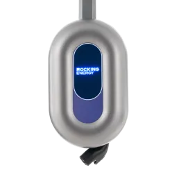 Blue Whale AC Charger