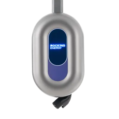 Blue Whale AC Charger