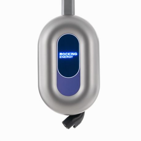 Blue Whale AC Charger