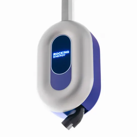 Blue Whale AC Charger
