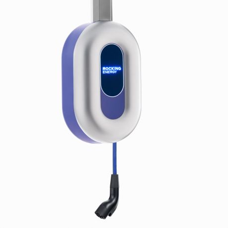 Blue Whale AC Charger