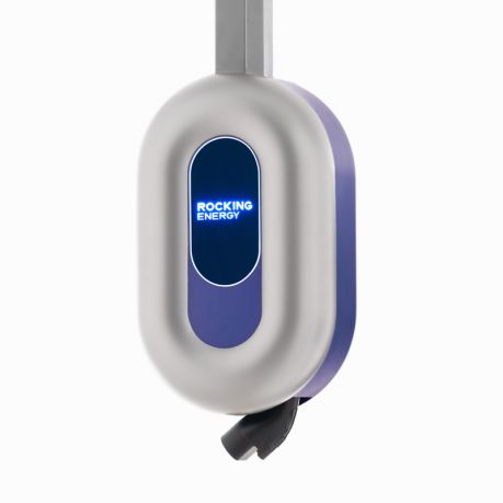 Blue Whale AC Charger