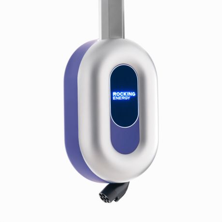 Blue Whale AC Charger