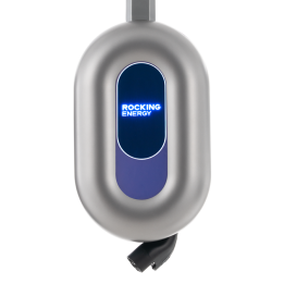 Blue Whale AC Charger