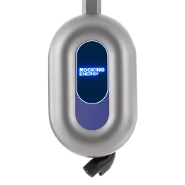 Blue Whale AC Charger