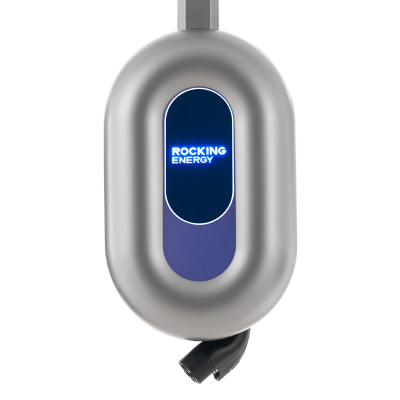 Blue Whale AC Charger