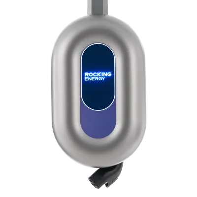 Blue Whale AC Charger