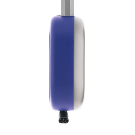 Blue Whale AC Charger