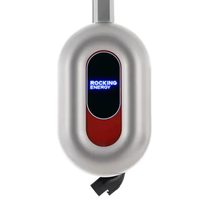 Red Sparrow AC Charger