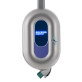 Blue Whale  (Low-Carbon)