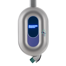 Blue Whale  (Low-Carbon)