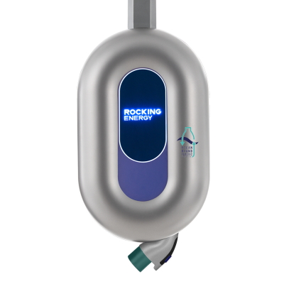 Blue Whale  (Low-Carbon)