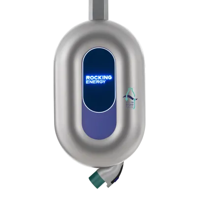 Blue Whale  (Low-Carbon)