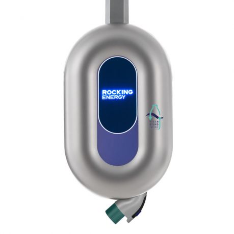 Blue Whale  (Low-Carbon)